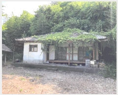  2025Ÿ��20716  ���ð��