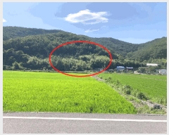  2025Ÿ��20716  ���ð��