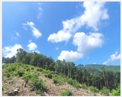  2025Ÿ��20741  �Ӿ߰��