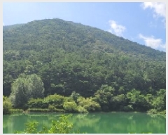  2025Ÿ��20741  �Ӿ߰��