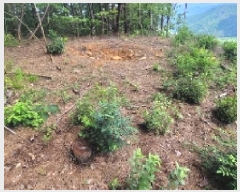  2025Ÿ��20741  �Ӿ߰��