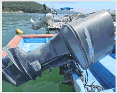  2025Ÿ20813 泲 â   帮 1     ڰ