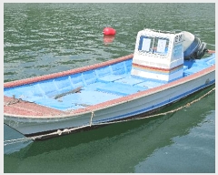  2025Ÿ20813 泲 â   帮 1     ڰ