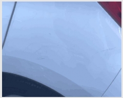  2025Ÿ��20909 â���� ���������� ������ 619       �������