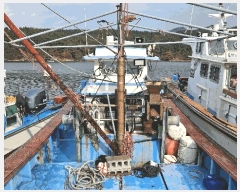  2025Ÿ��21006  ���ڰ��