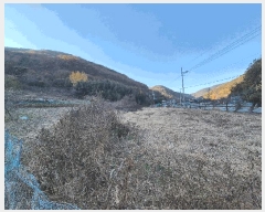  2025Ÿ��21011 �泲 �Ƿɱ� ����� �߱��� 1098      ����(�Ӿ�)���