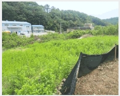  2025Ÿ��203  �����