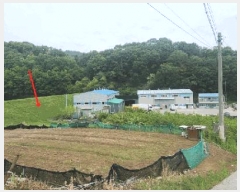  2025Ÿ��203  �����