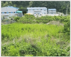  2025Ÿ��203  �����