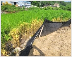  2025Ÿ��203  �����