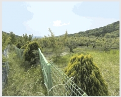  2025Ÿ��211  �����