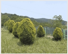  2025Ÿ��211  �����