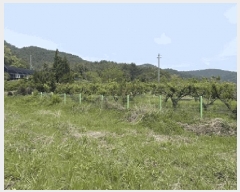  2025Ÿ��211  �����