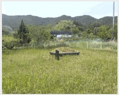  2025Ÿ��211  �����