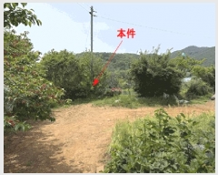  2025Ÿ��211  �����