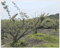  2025Ÿ��211  �����