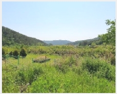  2025Ÿ��211  �����