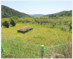  2025Ÿ��211  �����