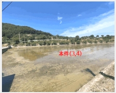  2025Ÿ��224  ����