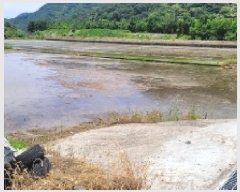  2025Ÿ��224  ����