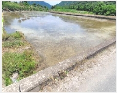  2025Ÿ��224  ����