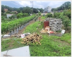  2025Ÿ��229 �泲 �Ծȱ� ���θ� ������ 416-4      ����(��)���