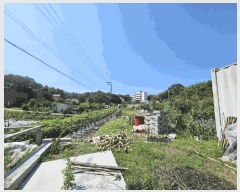  2025Ÿ��229 �泲 �Ծȱ� ���θ� ������ 416-4      ����(��)���