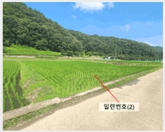  2025Ÿ��237  ����