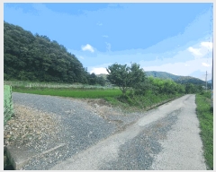  2025Ÿ��237  ����