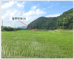  2025Ÿ��237  ����