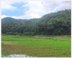  2025Ÿ��237  ����