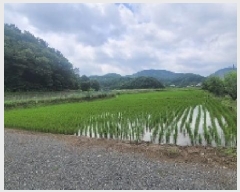  2025Ÿ��237  ����