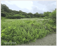  2025Ÿ��243  ����