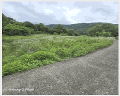  2025Ÿ��243  ����