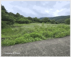  2025Ÿ��243  ����