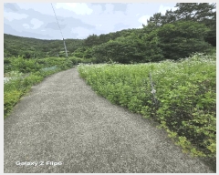  2025Ÿ��243  ����