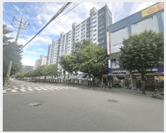  2025Ÿ��244  ����Ʈ���