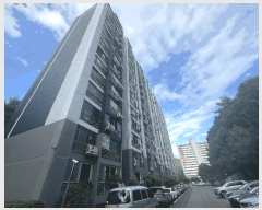  2025Ÿ��244  ����Ʈ���