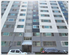  2025Ÿ��244  ����Ʈ���