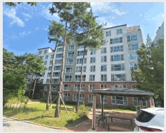  2025Ÿ��278 �泲 â���� ����ȸ���� ������ ��踮 324 �����Ͽ콺����Ʈ 2�� 202�� 3��303ȣ ����Ʈ���