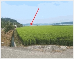  2025Ÿ��288  ����