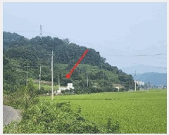  2025Ÿ��288  ����