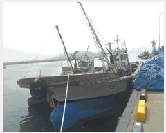  2025Ÿ��385 ������          ���ڰ��