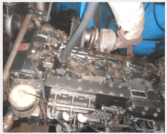  2025Ÿ��385 ������          ���ڰ��