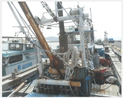  2025Ÿ��385 ������          ���ڰ��