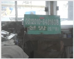  2025Ÿ��385 ������          ���ڰ��