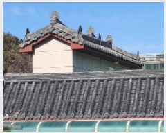  2025Ÿ��20174 �泲 â���� ����ȸ���� ������ �߸� 1050-28     �ٰ������ð��