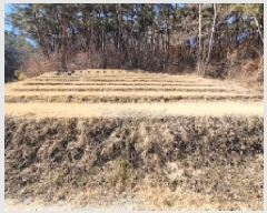  2025Ÿ��20327 �泲 �Ծȱ� ������ ��� 736      ����(�Ӿ�)���