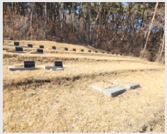  2025Ÿ��20327 �泲 �Ծȱ� ������ ��� 736      ����(�Ӿ�)���