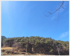  2025Ÿ��20327 �泲 �Ծȱ� ������ ��� 736      ����(�Ӿ�)���